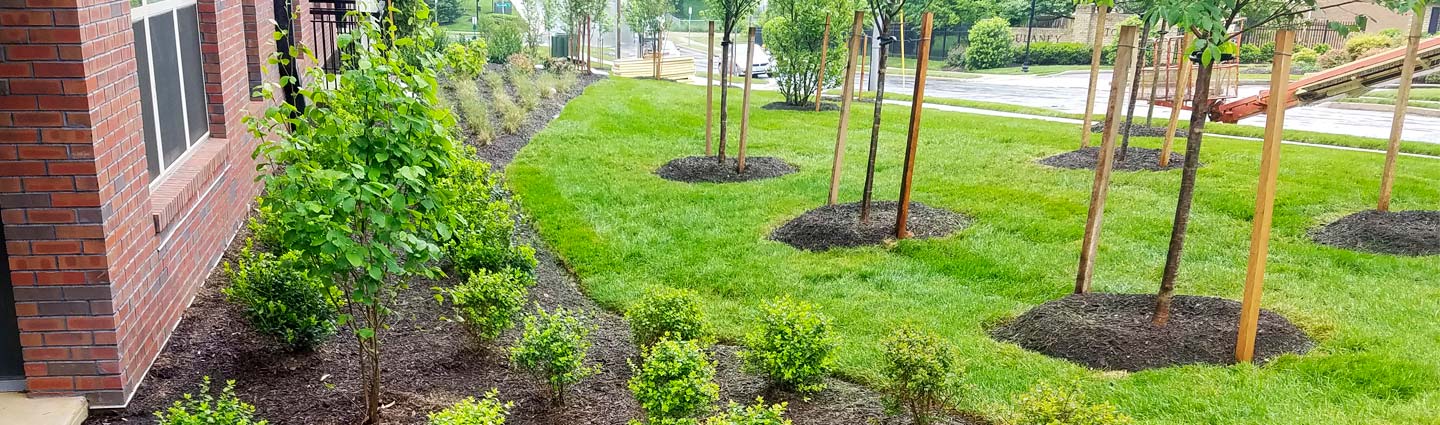 <strong>Commercial Landscape Services</strong>