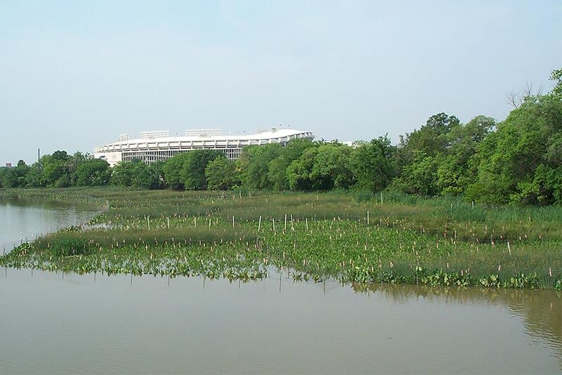 Heritage Island overview of entire site 1 year after planting