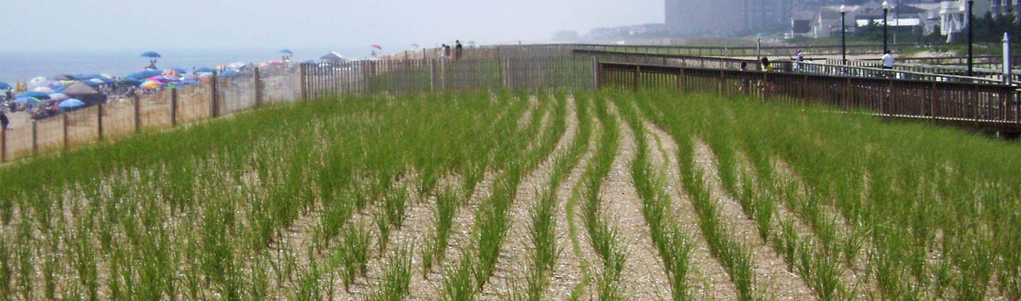 <strong>Ecological Restoration Services</strong>