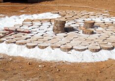 Jewish-Community-Center-outdoor-classroom-2