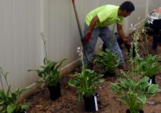 Jewish-Community-Center-outdoor-classroom-6