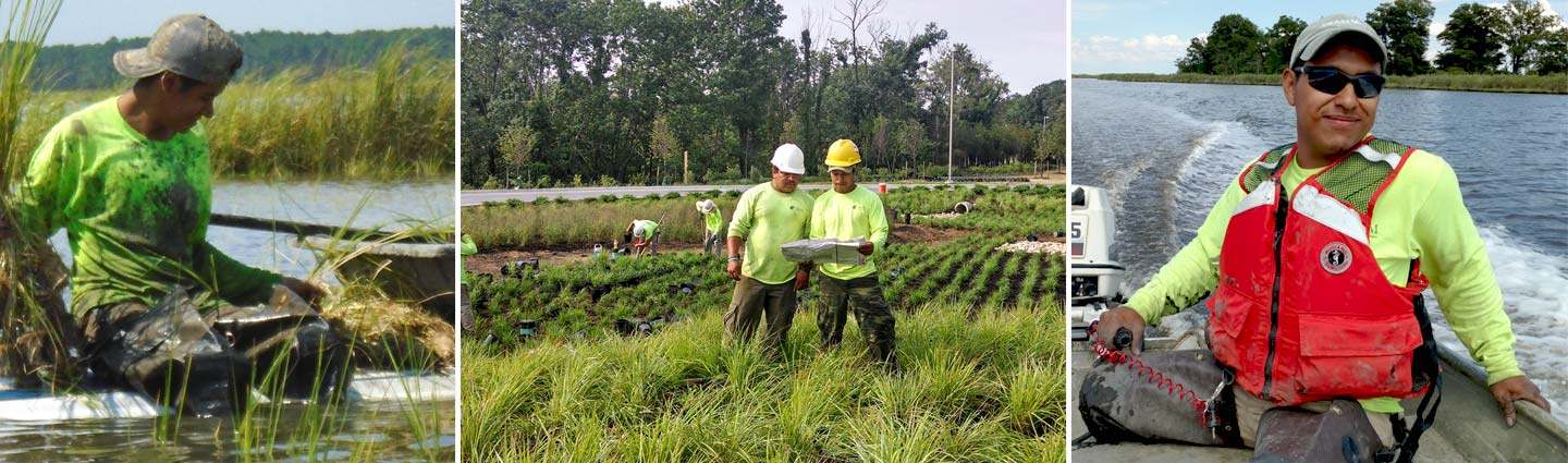 Examples of career opportunities at ER&M