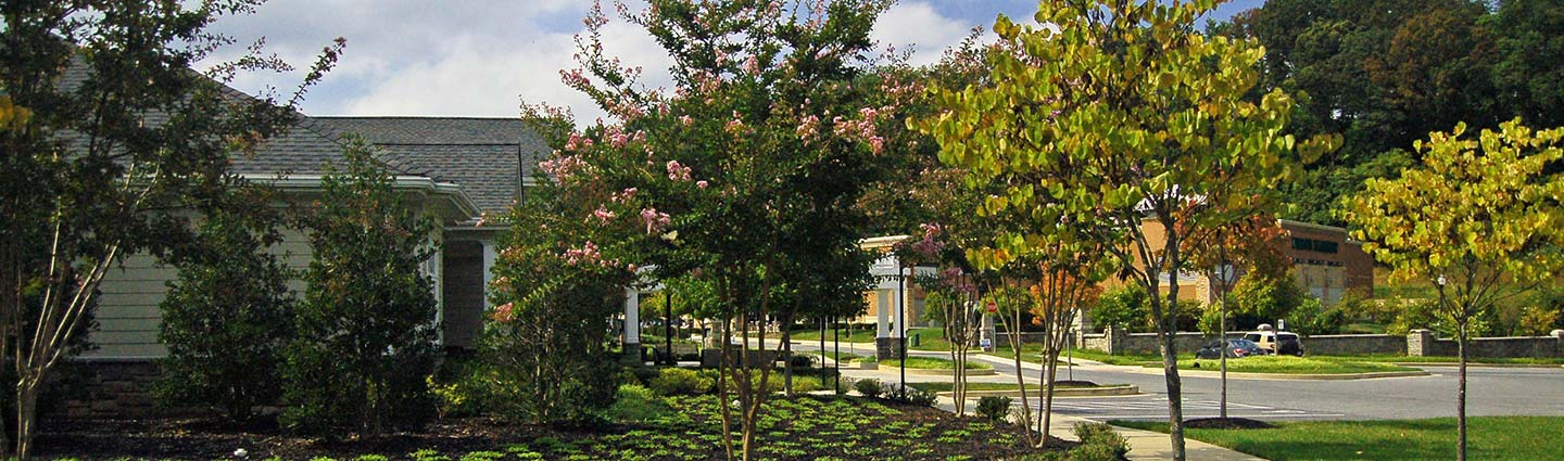 <strong>Commercial Projects</strong>