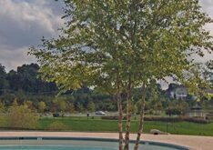 quarry-lake-community-pool-commercial-2