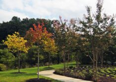 quarry-lake-community-pool-commercial-3