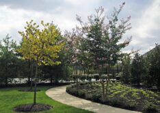 quarry-lake-community-pool-commercial-4