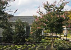 quarry-lake-community-pool-commercial-5