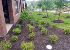 southerly-square-commercial-8