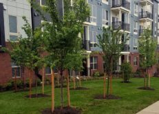 southerly-square-commercial-9